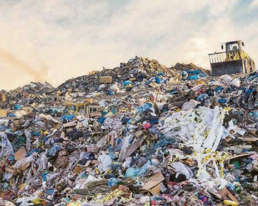 Eco targets could ignore our shrinking waste lines