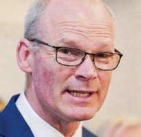 Coveney gets plum post in EY Ireland