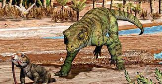 Crocs survived by not being chewsy
