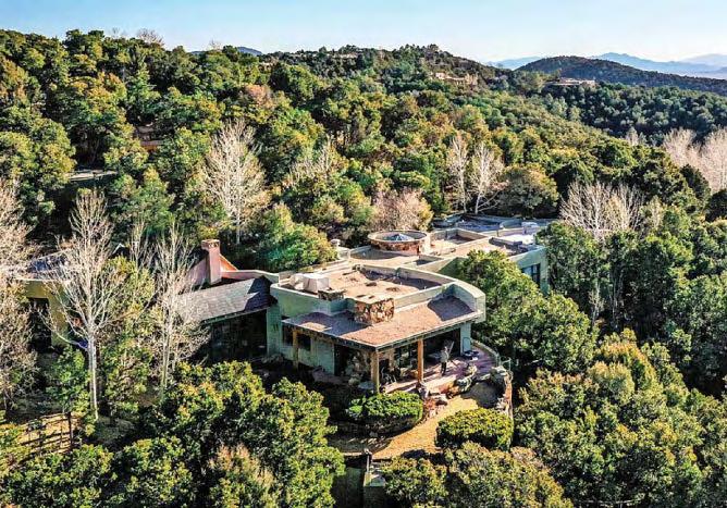 Rats horror at Hackman home