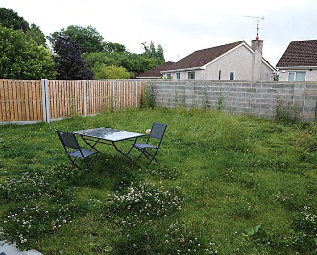 Garden has Mex factor