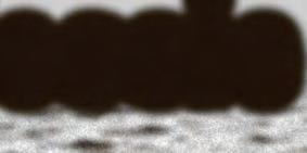 Top cop: Nessie is REAL