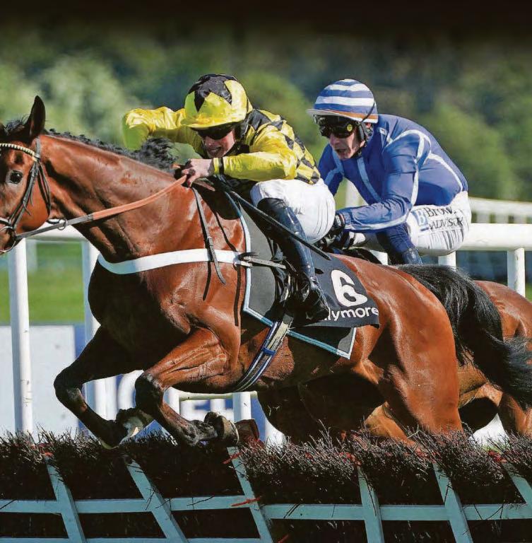 New drive to get more big spenders galloping our way