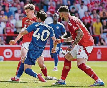 FOREST SLUMP