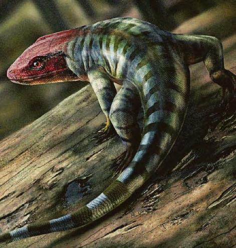 SCALY OLD REPTILES