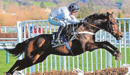 HILL WON'T GO FOR GOLD AT ROYAL ASCOT