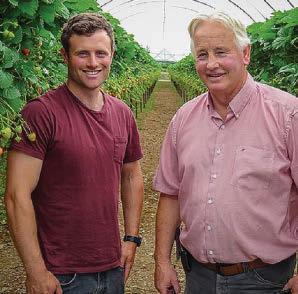 SUNNY SPELL WAS THE BERRY ON TOP FOR GROWERS