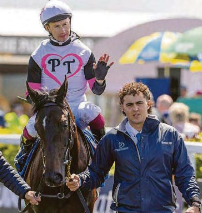 AUDACIOUS BID FOR GLORY IS SO APPEALING