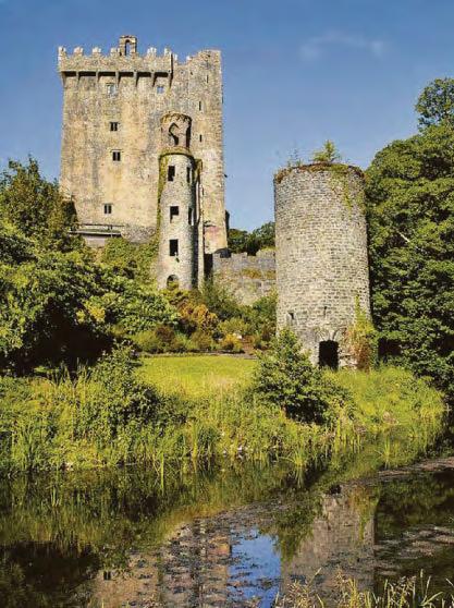 BLARNEY PHONE