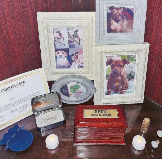 Satchwell's 'shrine' to Tina is revealed