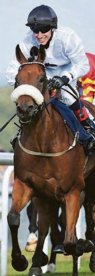 BOLLIN NEIL CAN RAIN SUPREME