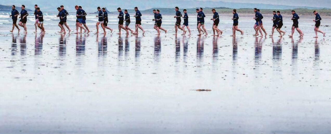 Potential escorts Rose to challenge