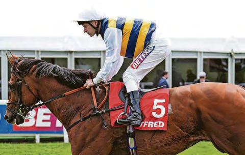 DOCKLANDS CAN MAKE A REAL SPLASH AT ROYAL ASCOT