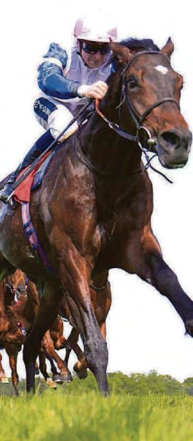 I'M GOING FOR A SONG IN KING GEORGE STAKES
