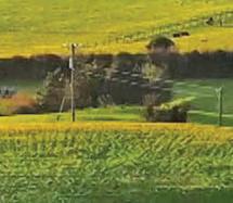 Newgrange 'royal incest' theory inbred and buried...