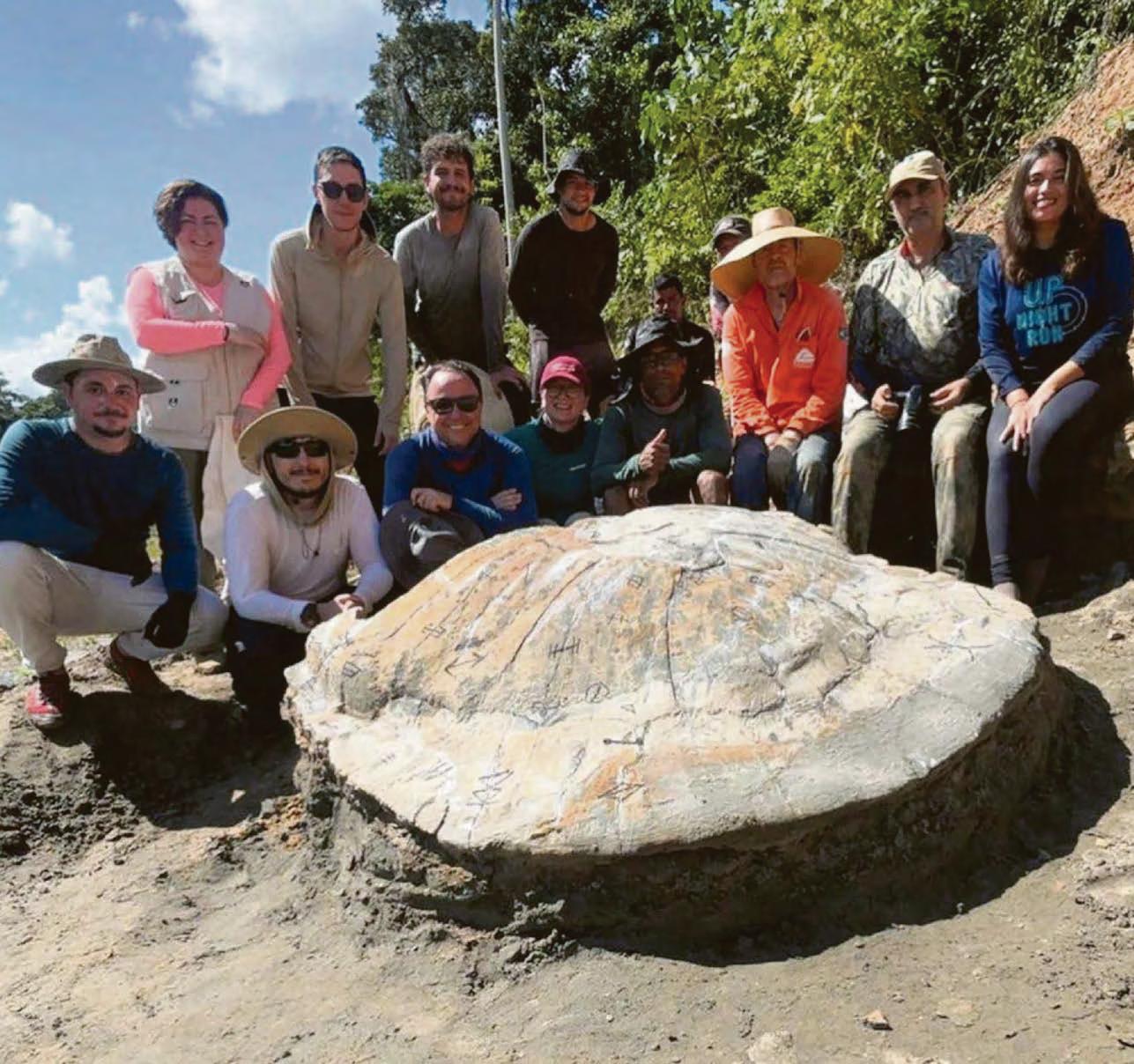 Massive fossil find is turtle-y awesome