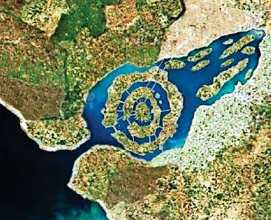 BOFFIN'S WILD ATLANTIS SAY