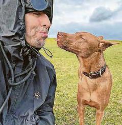 Screen stint for rescue dog Buttons