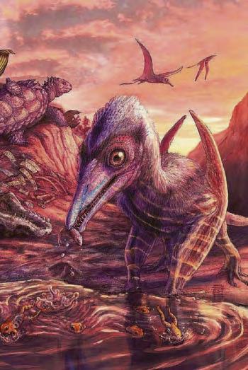 U.S. WAS A SITE FOR 'SAUR FLIES