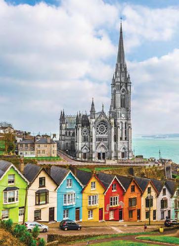 Cork hotspot clan's view to a killing