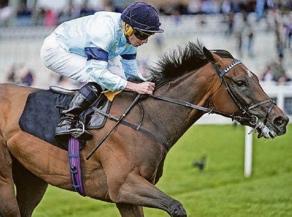 O'Brien's star can blow his July Cup rivals away today