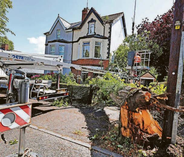 Power cuts after 100km/h storm winds cause weather chaos