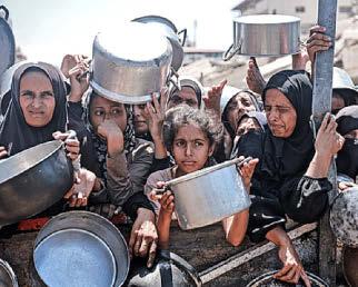 How Irish blueprint could save us all from destruction