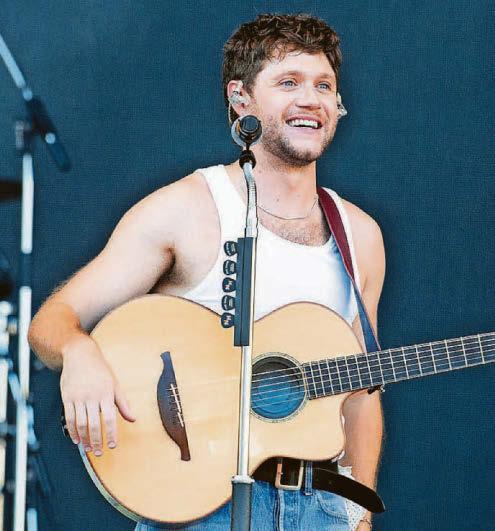 Niall's profits go in right Direction