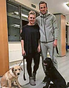 ATHLETES' HOUNDS ARE PUP FOR CUP ON INTERNATIONAL DOG DAY