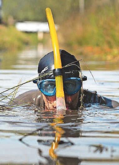 I'll set bog standard as a pro snorkeller..