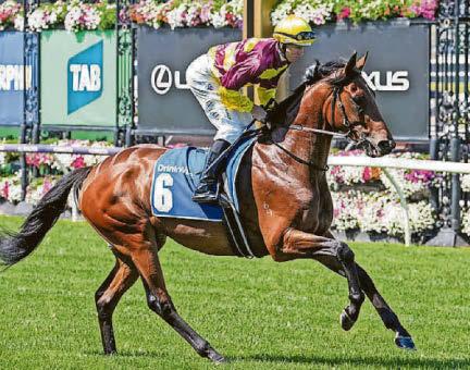 King's star will not let you down at Sandown