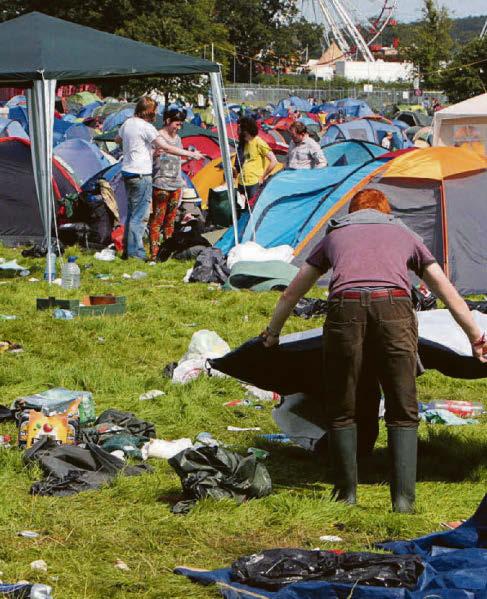 Visitors can buzz off after sting operation