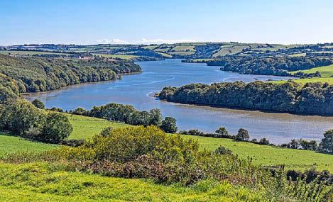 Pollution brings algal doom for waterways