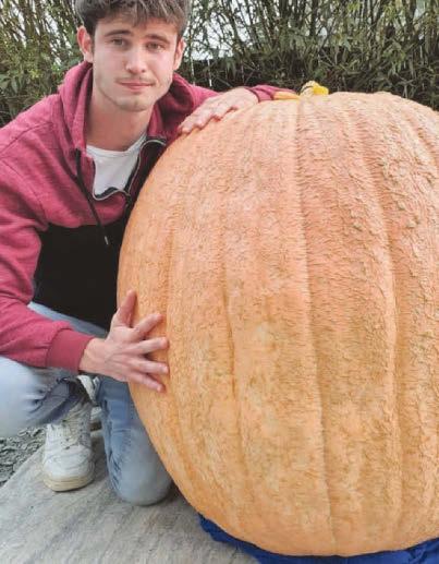 PUMPKIN COULD SMASH RECORDS