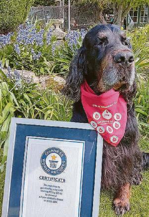 BLOOD HOUND GIVES NEW LEASH OF LIFE..