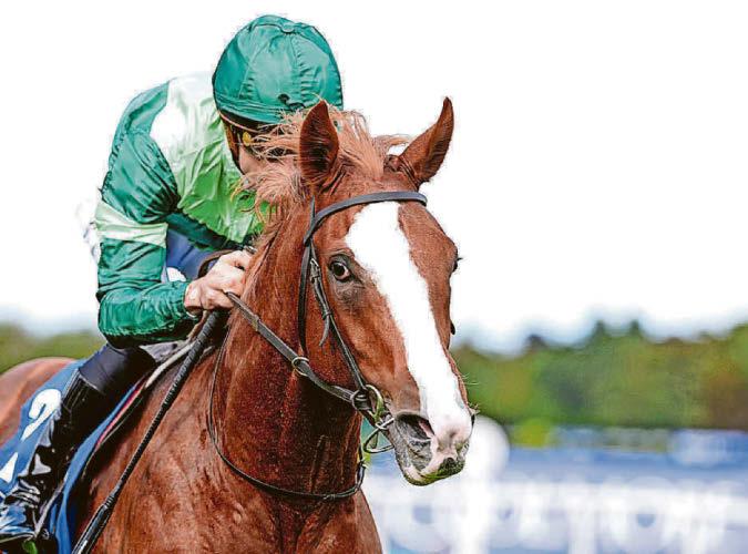 IT'S NO HARD CELL' FOR O'BRIEN