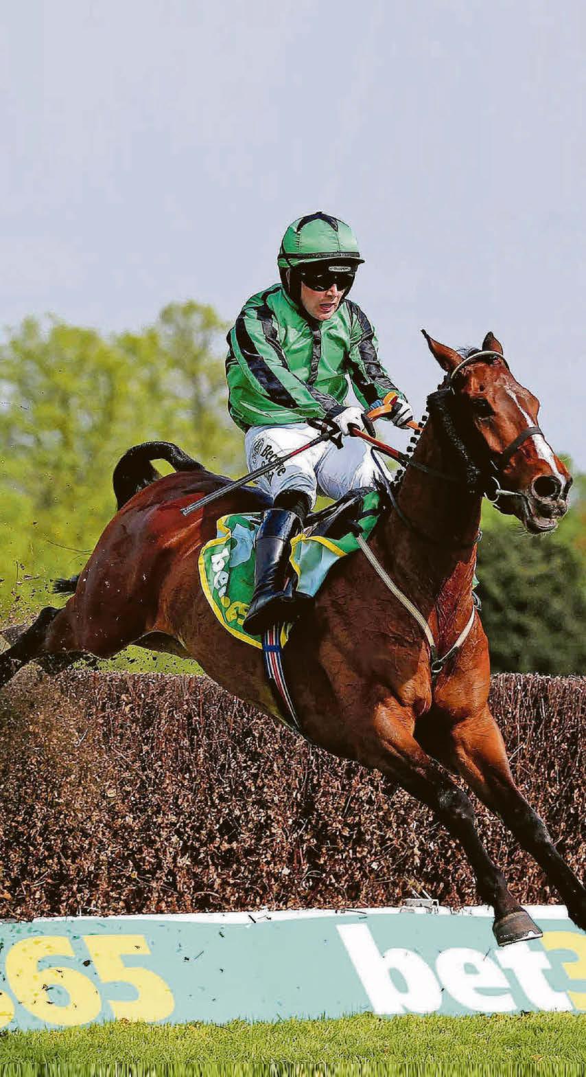 HEWICK HALL SET FOR GOLD