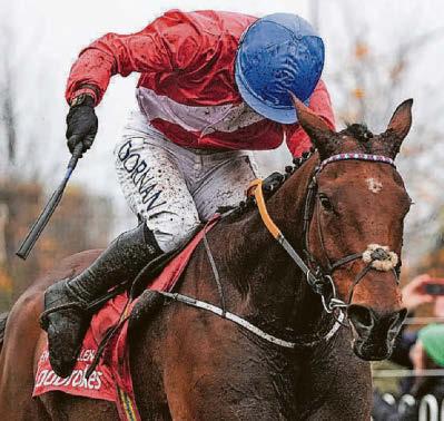 ENVOI ALLEN’S UP FOR DOWN ROYAL