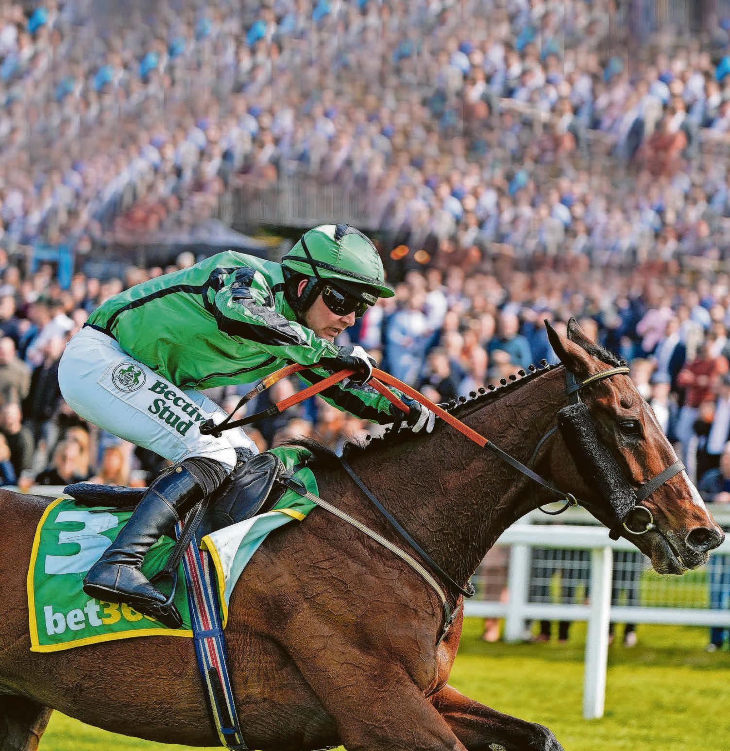 Shark’s star can make another splash today