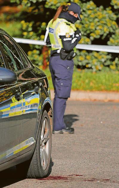 ARREST AFTER STAB HORROR