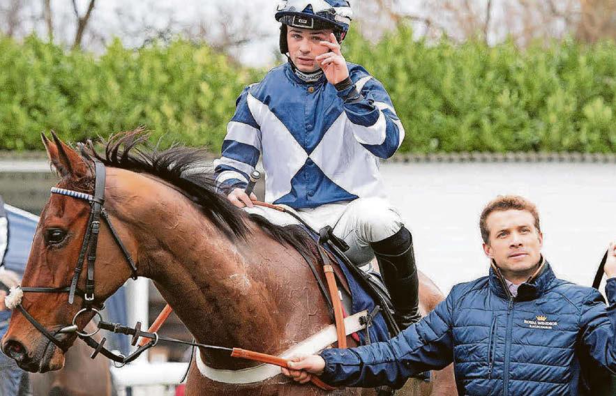 VINCENZO TO GO FOR GOLD