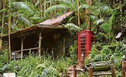 Sapping souls with snakes & badder camp