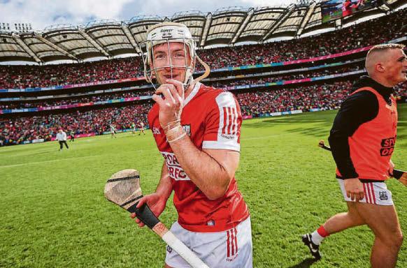 HOGGY MAY HAVE STAYED UNDER PAT