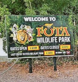 FOTA DEVELOPMENT