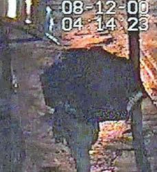New CCTV appeal for missing Trevor
