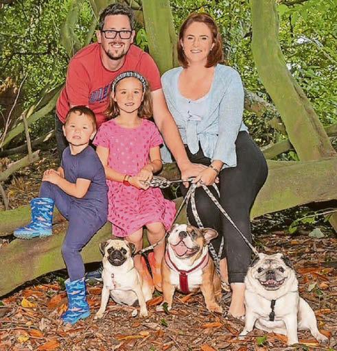 'All we want is our dogs back'