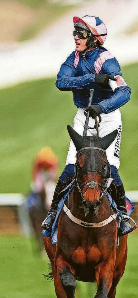 KOPEK READY FOR DRF