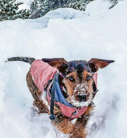 WRAP PUP WARM