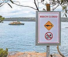 AUSSIE SHARK ATTACK SPREE