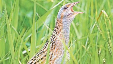 Biodiversity should be second nature..